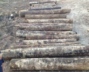 sinker pine logs